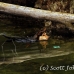 guide_nusalavu_h_0705_0085.jpg